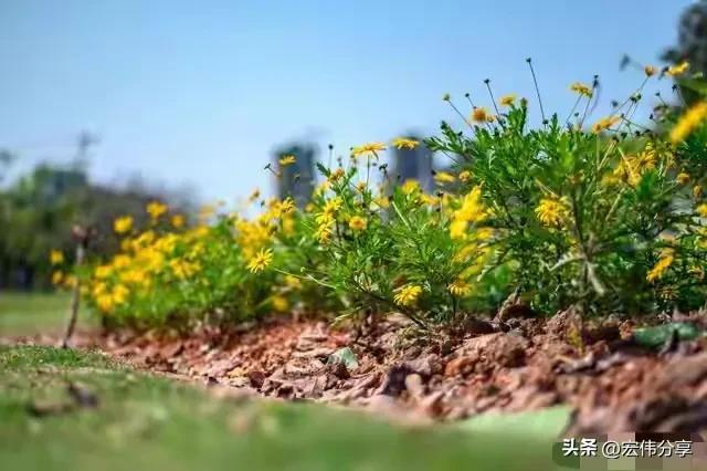 亲情自私_晚年亲情观_自私的父母是什么样的