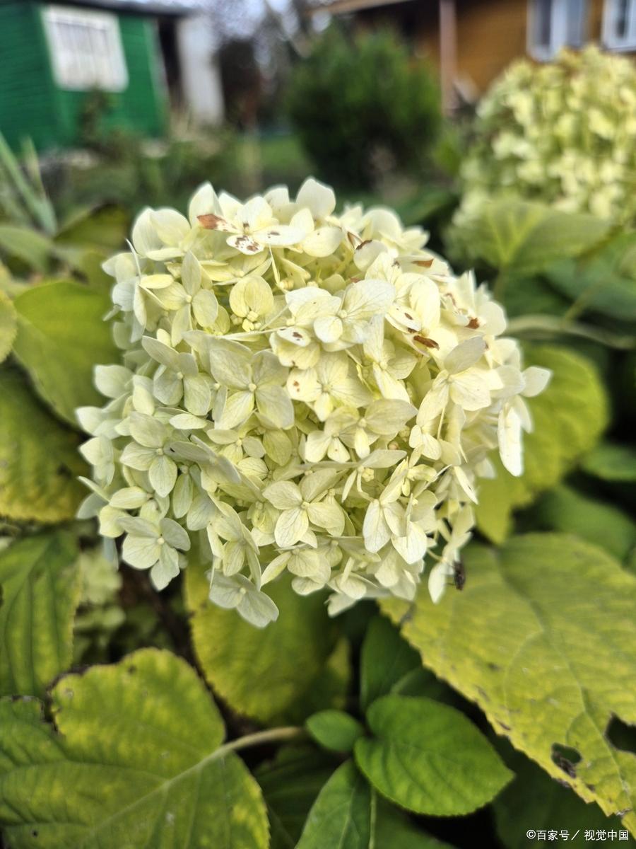 发现自身能力_成长路上的困难议论文_成长的旅程痛苦波折快乐