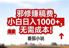 番茄小说赚稿费邪修玩法无需成本，真实日入1000+，超级简单！