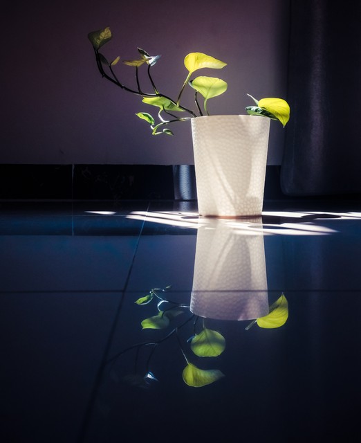 怎样才能有愉快的心情_保持快乐心情方法_兴趣爱好提升幸福感