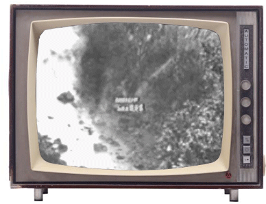 成长的烦恼字幕打包下载_成长的烦恼有字幕_成长的烦恼字幕下载