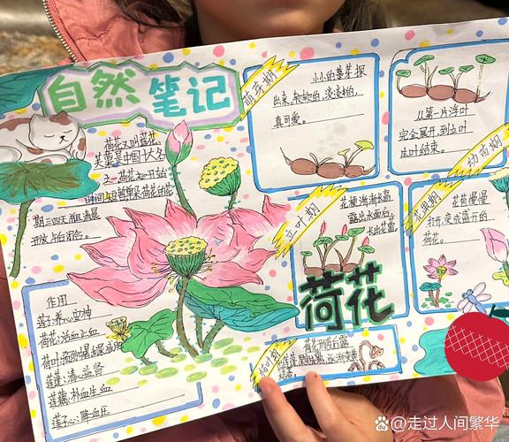 笔记大自然注意内容-用心感受生命的美好