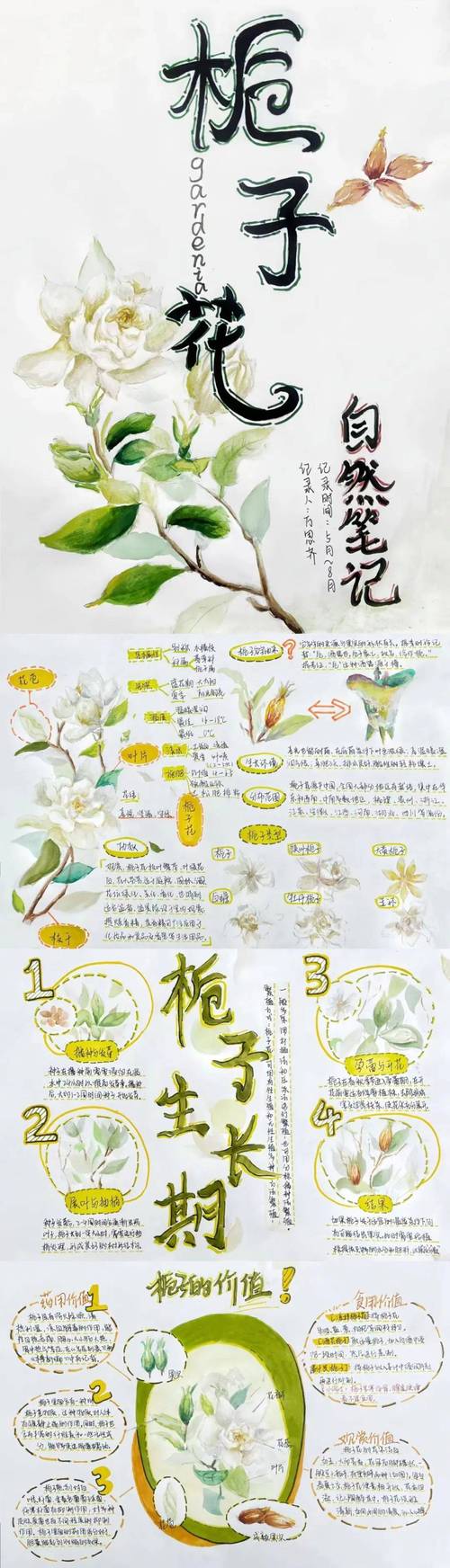 笔记大自然如何记录自然_克莱尔查尔斯自然观察家_笔记大自然注意内容