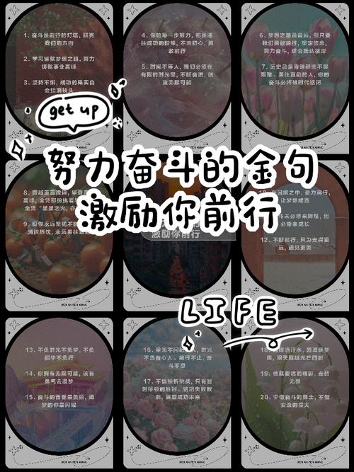 有关成功的公式的图片-“努力必定成功”是成年人最大的谎言，别再被“毒鸡汤”骗了！