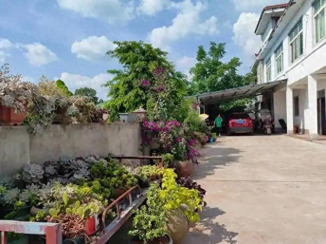 开店找项目小本生意-2026年农村12个新兴小生意，低门槛高回报，普通人也能做