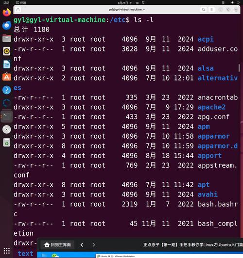 linux 查看用户所在组-Linux文件权限及用户权限命令