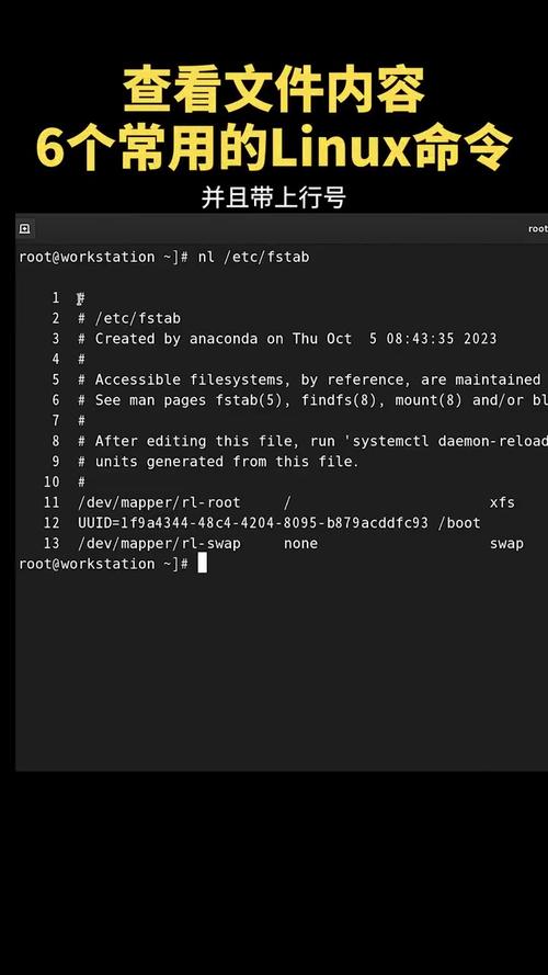 Linux用户管理命令_linux 查看用户所在组_Linux文件权限管理