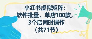 小红书虚拟矩阵：软件批量发笔记，单店100款，3个店同时操作（共71节）