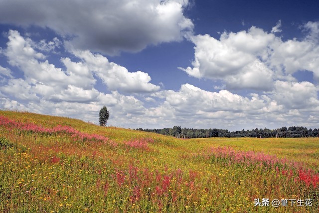 但愿没有烦恼_无欲则刚 烦恼 欲望本质