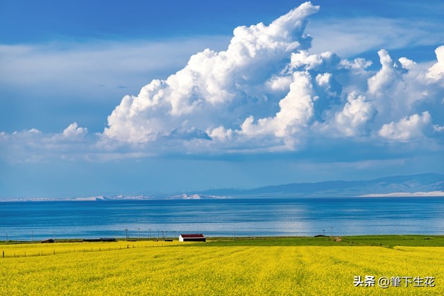 无欲则刚 烦恼 欲望本质_但愿没有烦恼