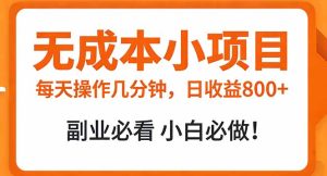 无成本小项目 每天操作几分钟，真实日收益800+ 副业必看 小白必做！