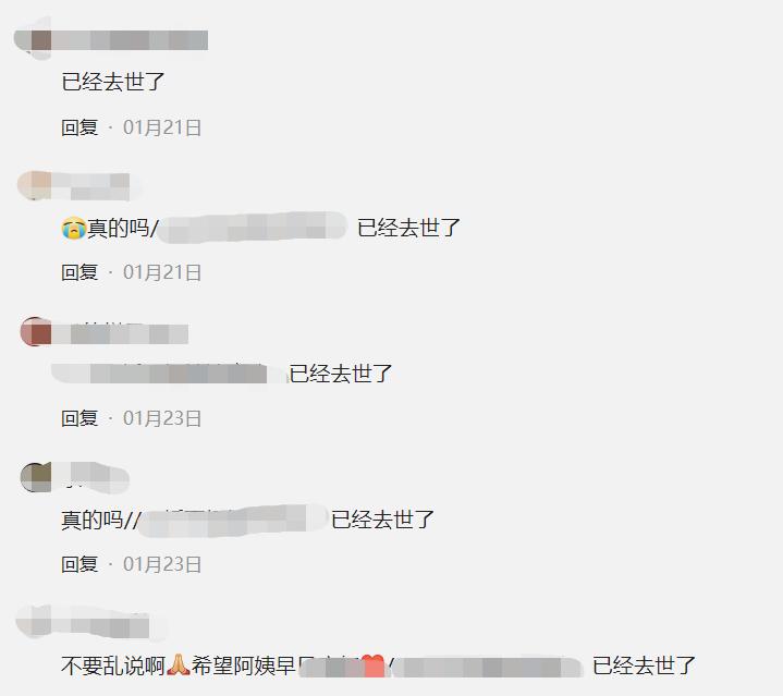 西北小强妈妈做饭视频最近_西北小强妈妈去世原因_西北小强妈妈抗癌视频