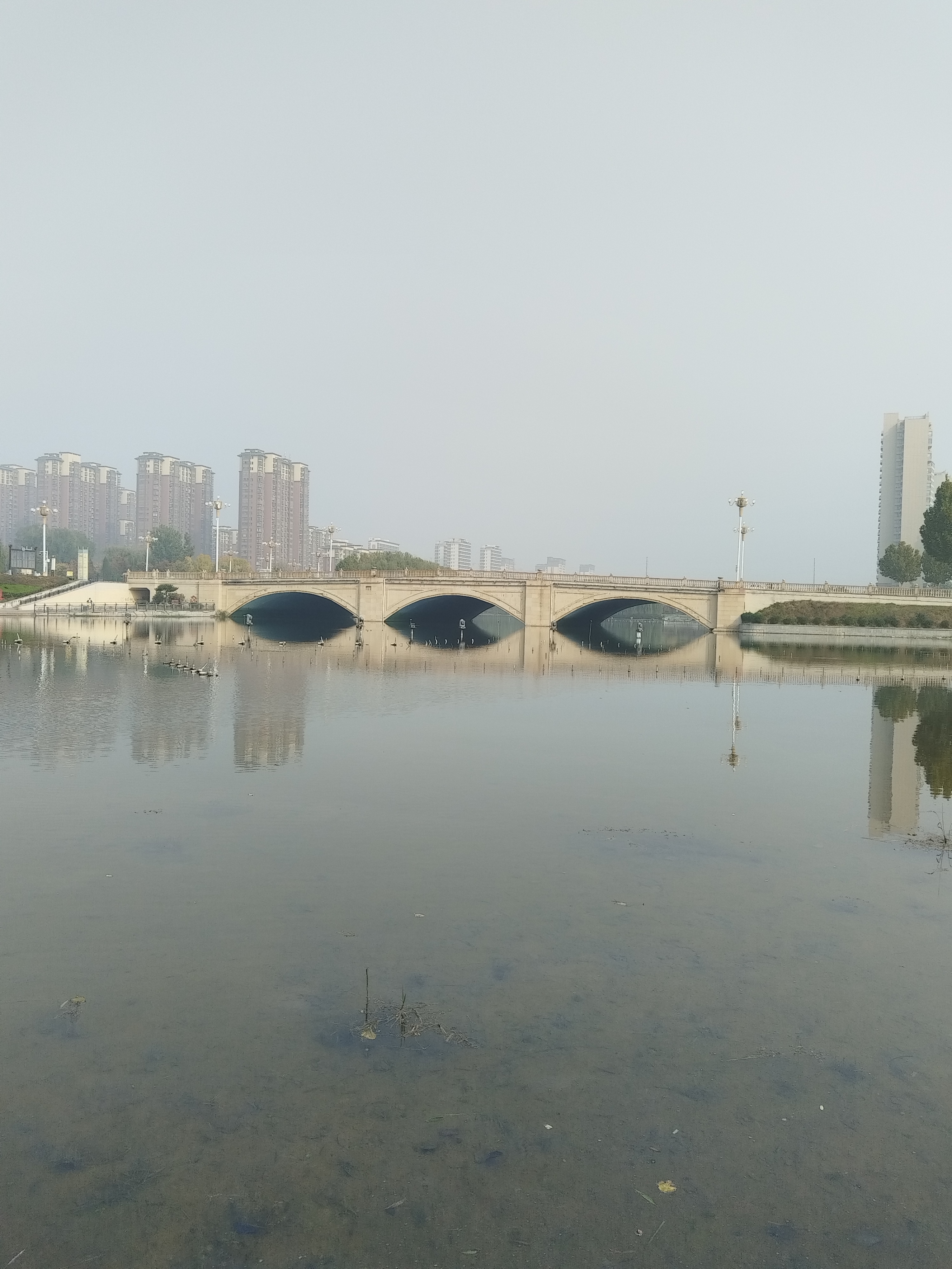 怀念逝去亲人_天堂没有病痛愿您安好_愿天堂没有病痛的说说