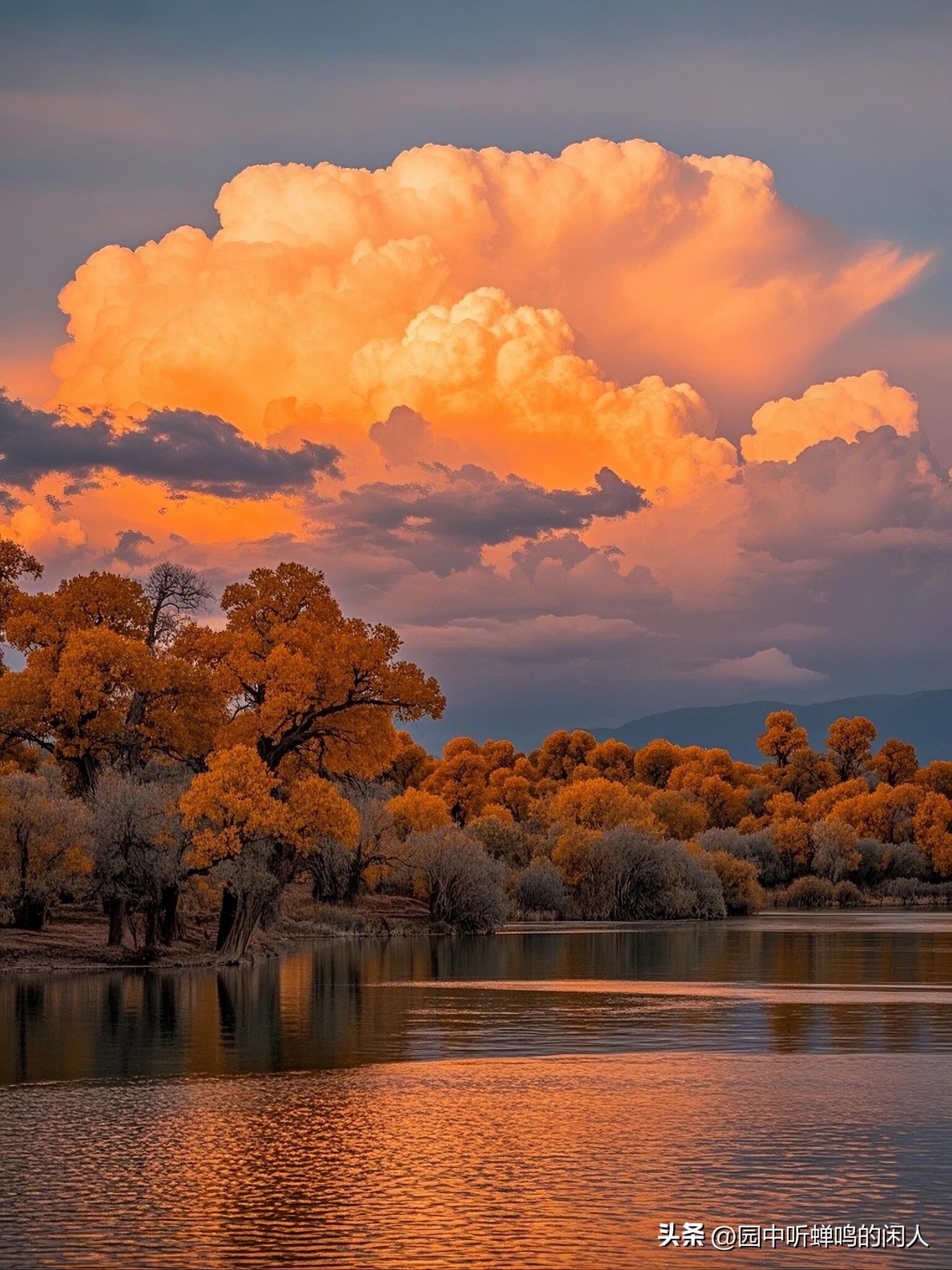 父母如何与子女保持适当距离_父母不要干涉儿女生活_如何照顾好自己让子女安心