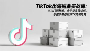 TikTok出海掘金实战课：从入门到精通，全干货实操讲解，手把手教你做好TK跨境电商