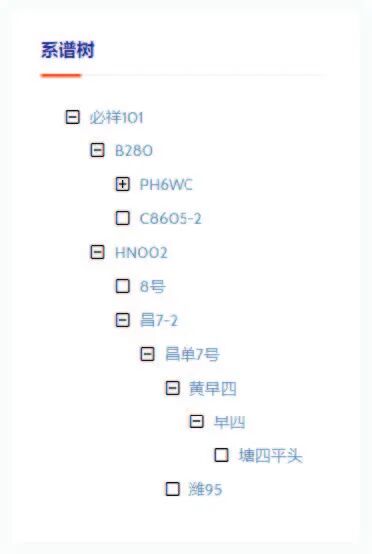 中国玉米品种系谱查询_玉米自交系系谱数据库_中国玉米新品种信息网