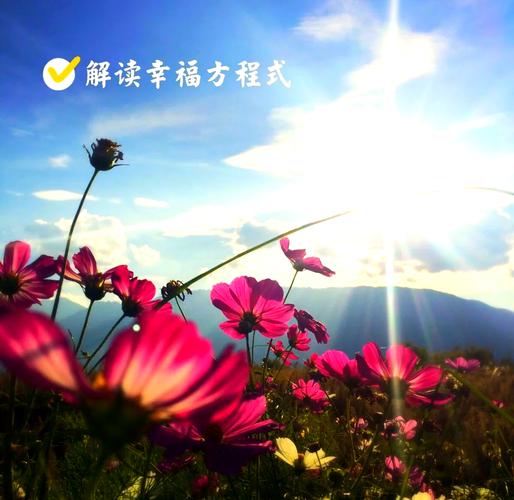 人际关系对幸福的影响_希望对幸福感的影响_幸福与心态关系