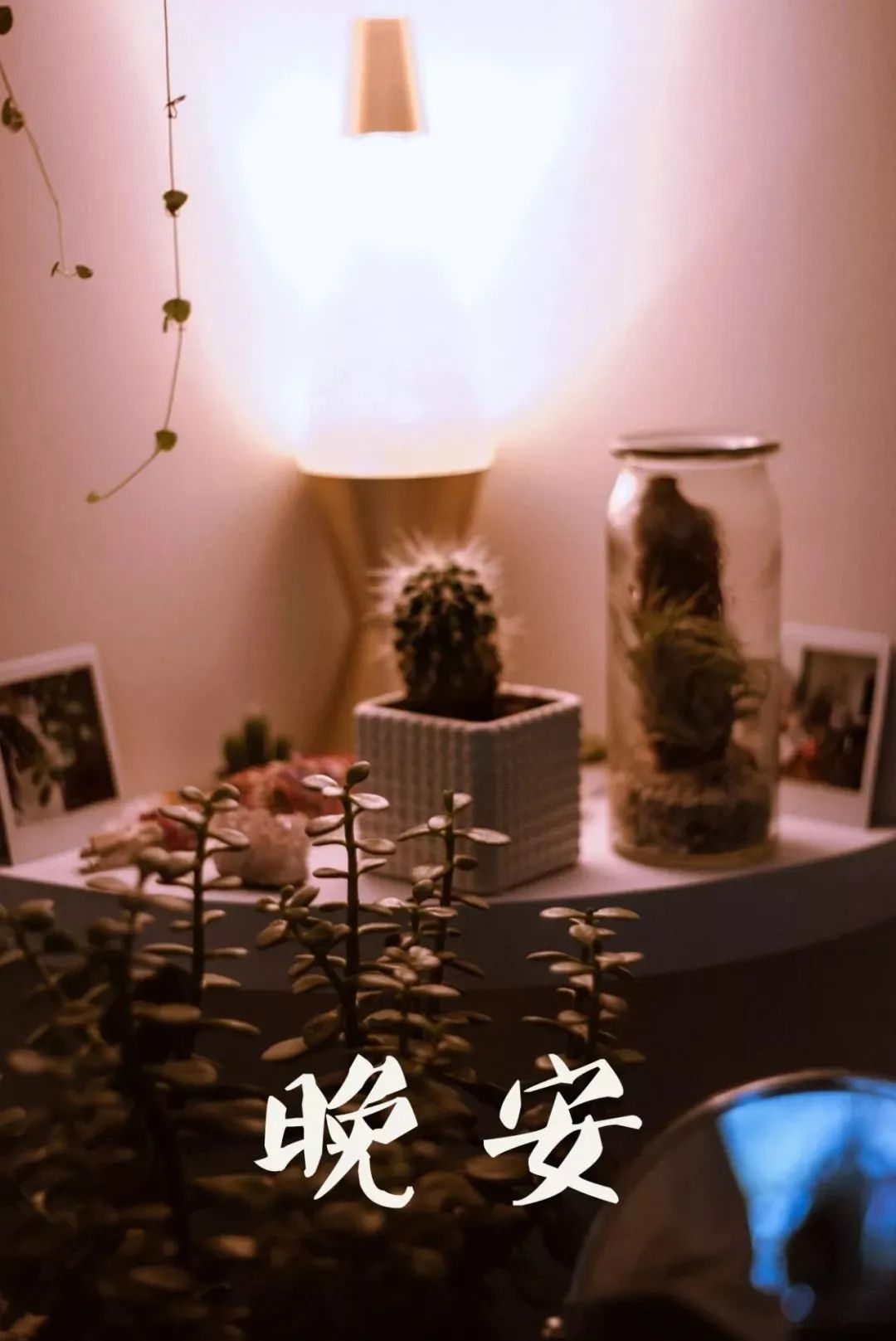 能睡个好觉的心情说说_晚安不是结束而是生命的另一种开始_睡前对自己笑一个