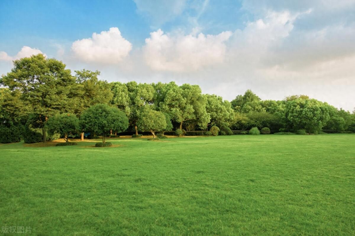 技术员试用期工作总结范文6篇-试用期转正人员个人工作总结，领导看后赞不绝口