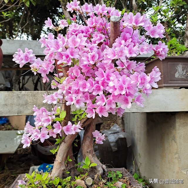 每天过得很压抑不快乐_人生快乐之道_看淡放下