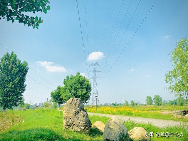 讽刺亲戚有事才想起你-一到过年才懂:你混得差,亲戚看你就像看条狗