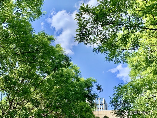 混得好与差的表现_过年亲戚关系_讽刺亲戚有事才想起你