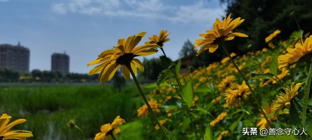 讽刺亲戚有事才想起你_混得好与差的表现_过年亲戚关系