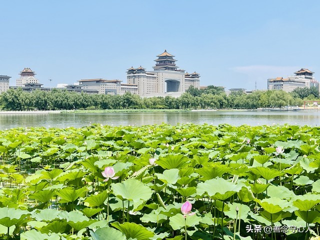 过年亲戚关系_讽刺亲戚有事才想起你_混得好与差的表现
