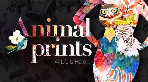 自己可以简单设计的网站_电商简约设计_极简电商网站版式设计