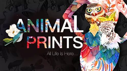 电商简约设计_极简电商网站版式设计_自己可以简单设计的网站