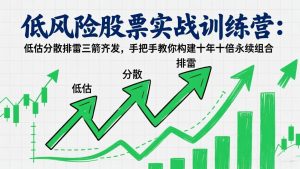 低风险股票实战训练营：低估分散排雷三箭齐发，手把手教你构建十年十倍永续组合