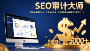 SEO审计大师：教你精通网站分析，修复SEO问题，为有效的审核收费5000美元以上！