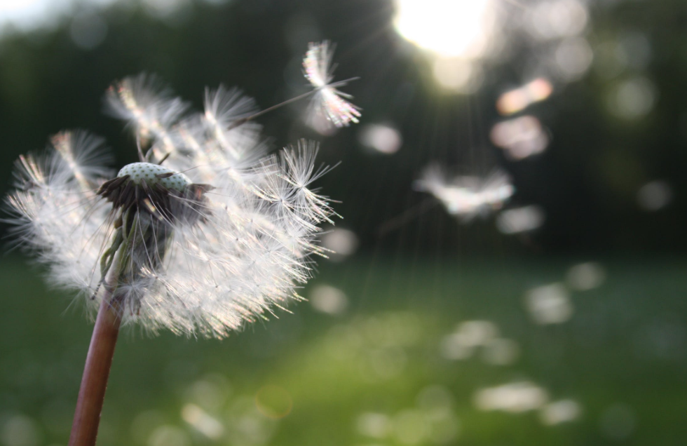 做事的好心态是什么_培养好心态收获好人生_平心静气清风自来