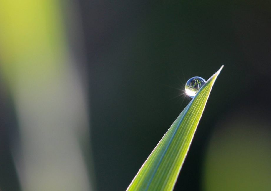 平心静气清风自来_培养好心态收获好人生_做事的好心态是什么