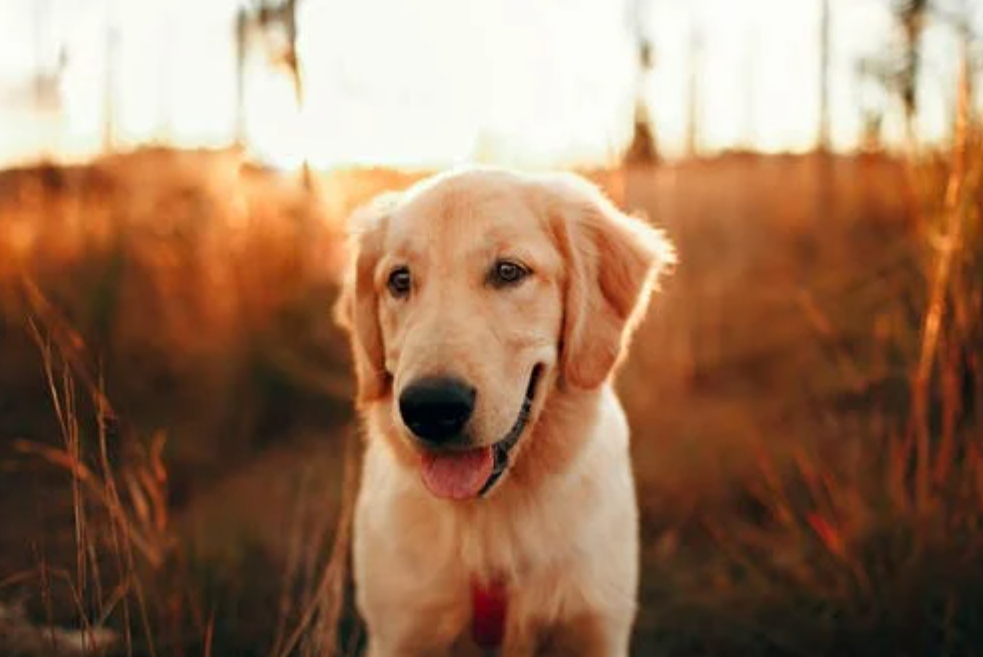 培养好心态收获好人生_做事的好心态是什么_平心静气清风自来