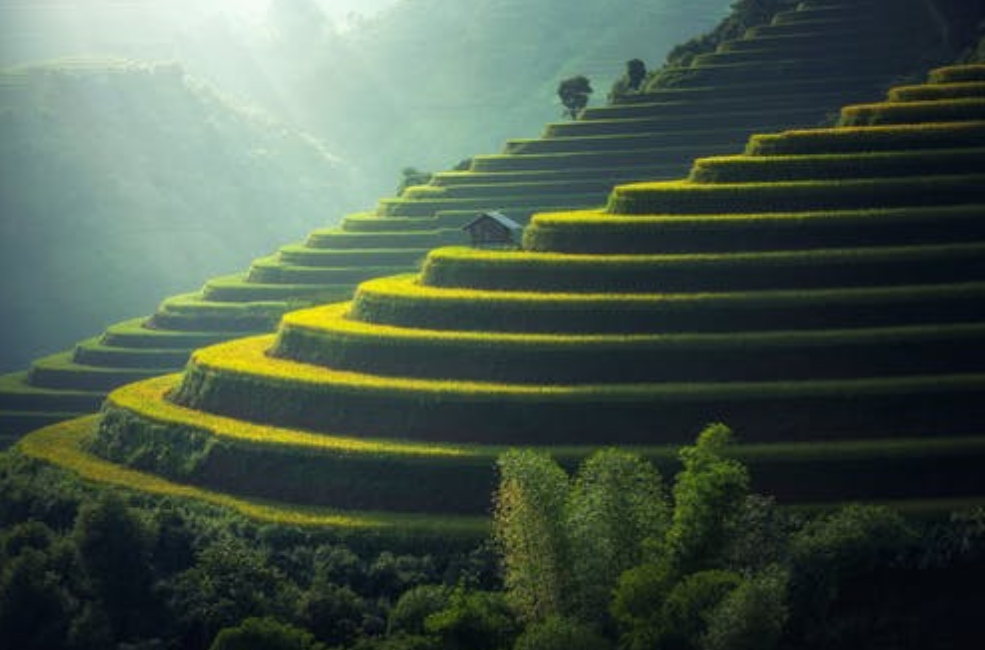 培养好心态收获好人生_做事的好心态是什么_平心静气清风自来