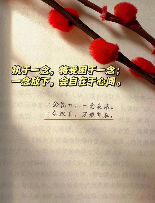 人生放下_放过自己_学会放下懂得从容图片