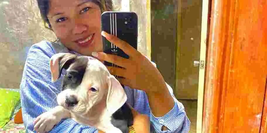 网上英语培训班怎么样-哪个在线英语培训机构好，如何选择比较好