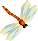 幼儿园班级管理经验分享_副班主任工作主要内容_副班主任工作经验交流