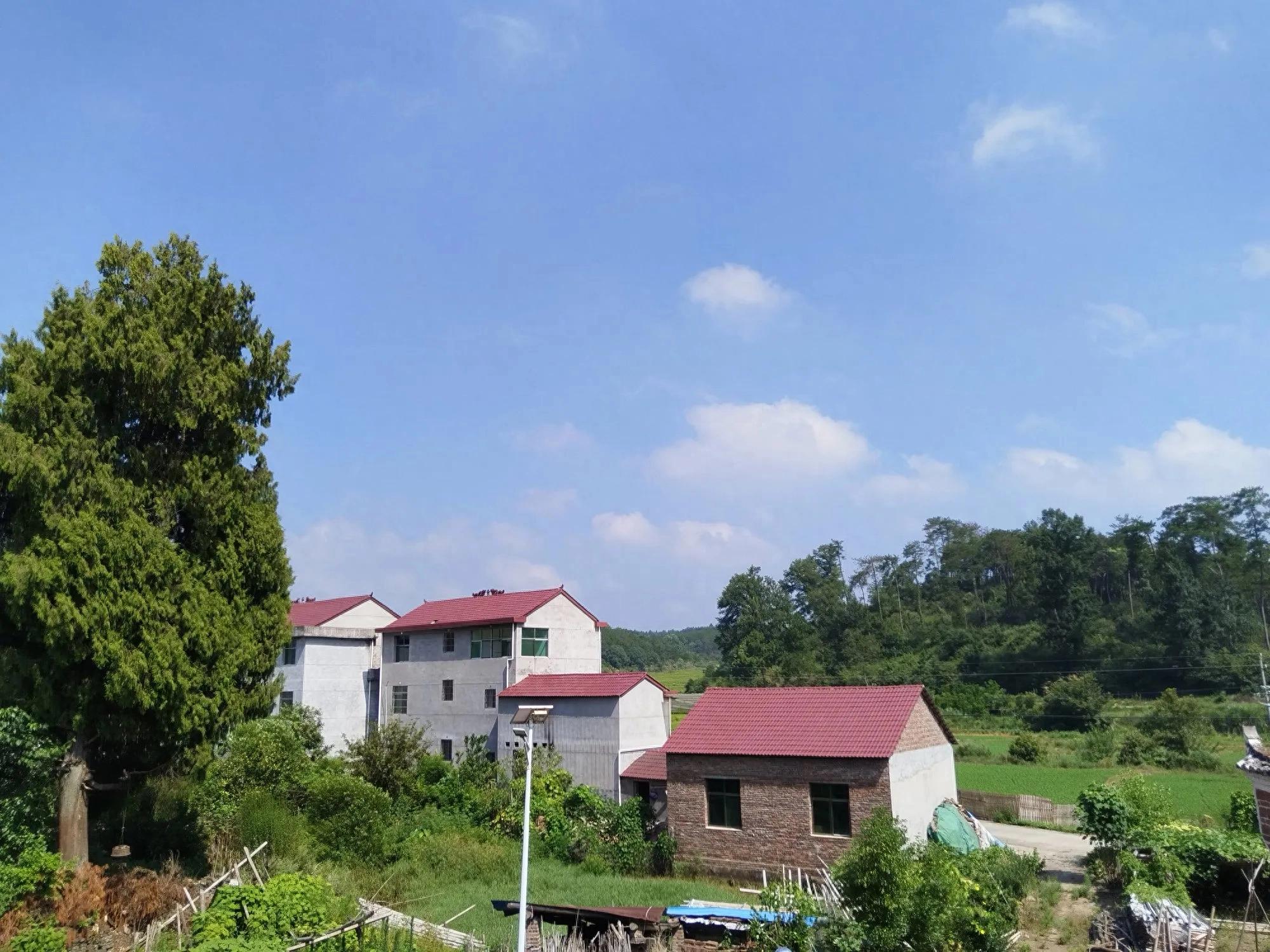 修辞手法诗歌_诗歌从内容上可以分为_诗歌表达技巧