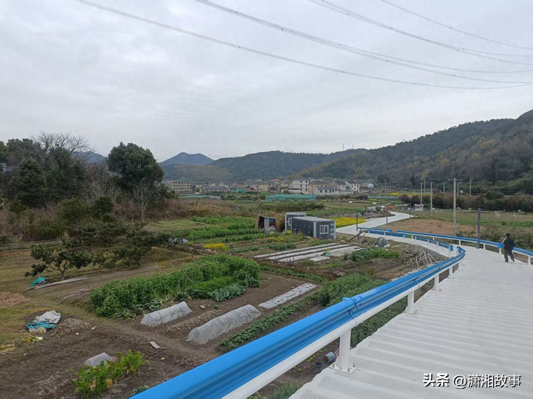 水利工程建设注册监理工程师继续教育主观题试卷-监理水利案例——招投标模块