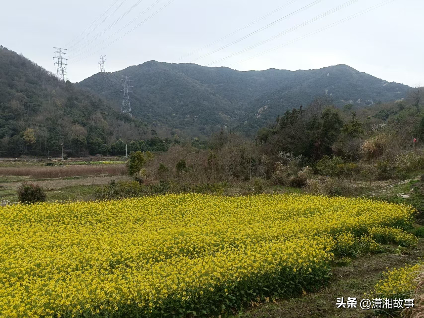 水利监理案例招投标考点_水利监理案例历年真题考点_水利工程建设注册监理工程师继续教育主观题试卷