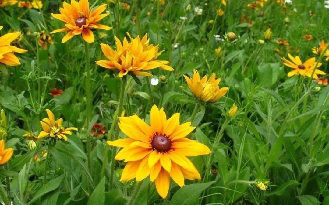 信任感动句子说说心情-感人的人与人信任语录，温暖你的心灵！