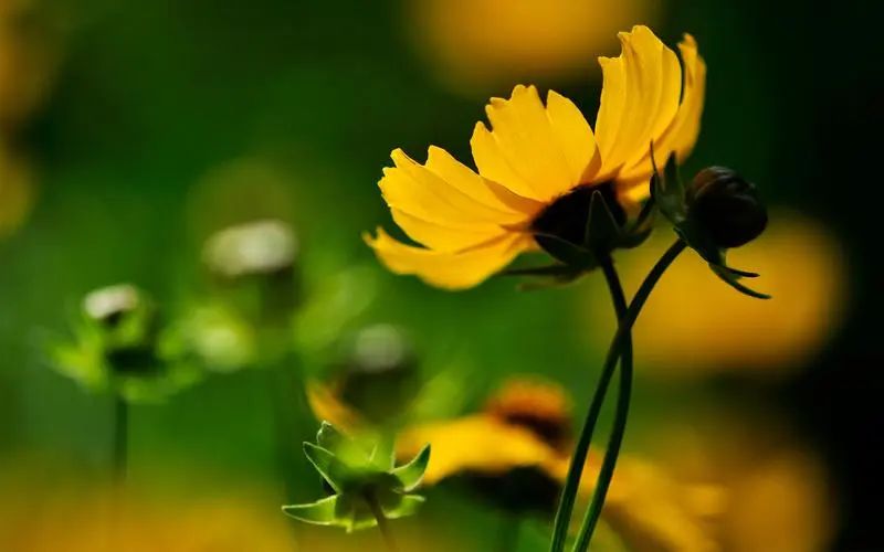 信任感动句子说说心情_感人的信任语录_信任的力量