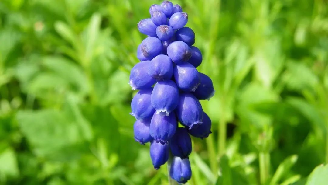 信任的力量_信任感动句子说说心情_感人的信任语录