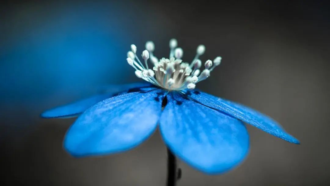 信任感动句子说说心情_信任的力量_感人的信任语录