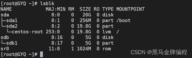 Linux添加硬盘_linux下查看硬盘信息_查看磁盘容量