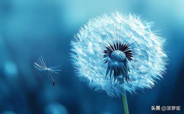 怎么样才能做到不生气_不生气情绪管理_如何放下愤怒情绪