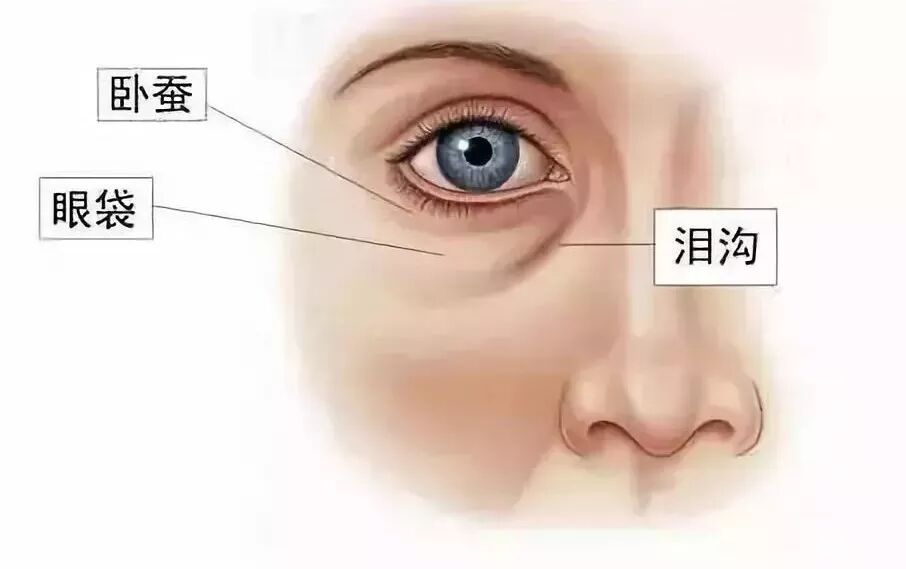 黑眼圈成因及解决方法_孩子有黑眼圈是怎么办_眼部肌肤衰老原因