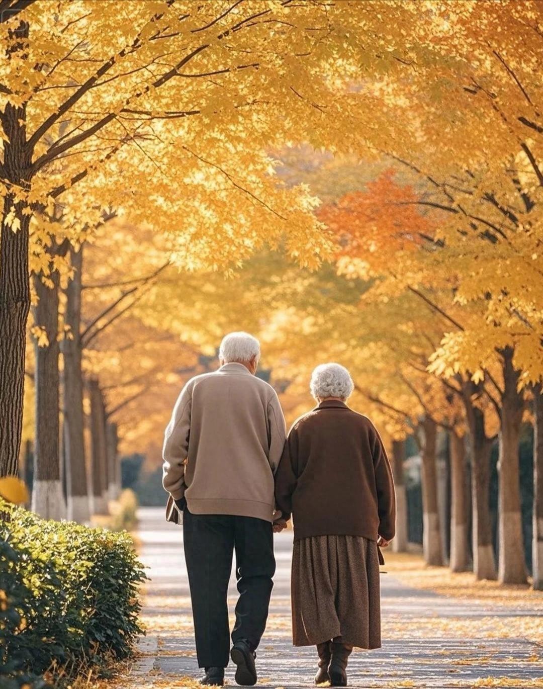 为老人做一件事后的感悟-78岁老张的43条扎心感悟，刷爆中老年朋友圈